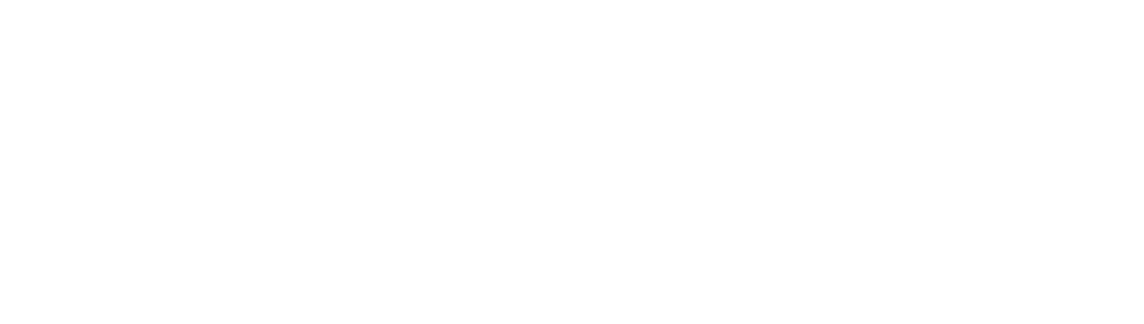 Logo 13